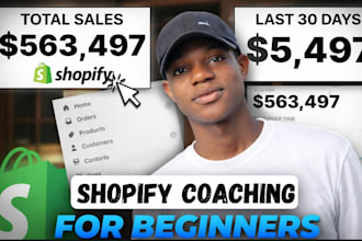 be your dropshipping coach shopify mentor shopify consultant ecommerce mentor