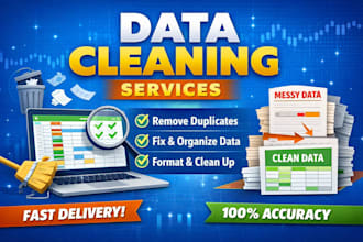 do professional data cleaning, excel cleaning and formatting