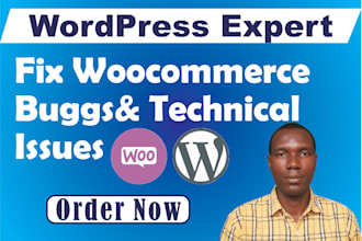 fix wordpress errors, bugs, and broken website issues
