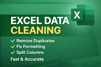 do excel data cleaning, data splitting, and formatting professionally