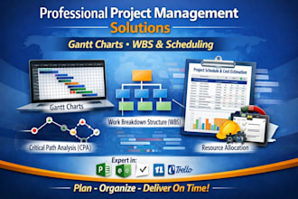 professional project management solutions, gantt charts, wbs and scheduling