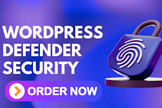 setup wordpress all in one wp security defender bulletproof ithemes security