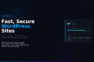 fix wordpress site issues and speed