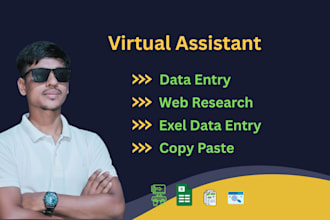 do accurate data entry,copy paste,web research and exel data entry