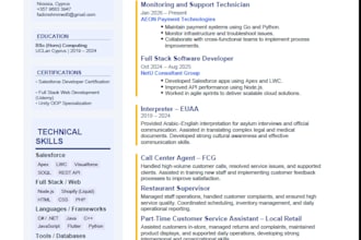 provide professional salesforce development and automation