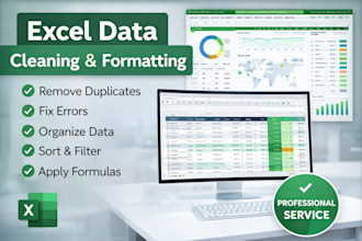 do excel data cleaning, data formatting, remove duplicates