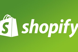 build or rebuild or customize your shopify store