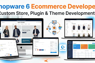 develop shopware 6 store, custom plugin, theme, migration and bug fixing, update
