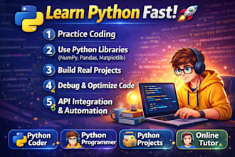professional expert python coder tutor and  programmer