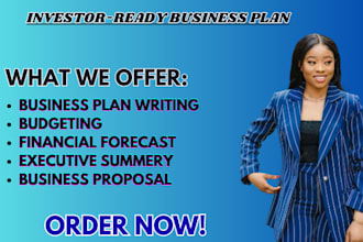 craft an investor ready business plans for filmmakers and business owners