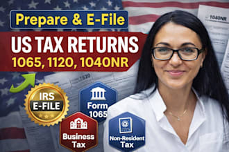 prepare and file USA partnership tax form 1065 and 1120
