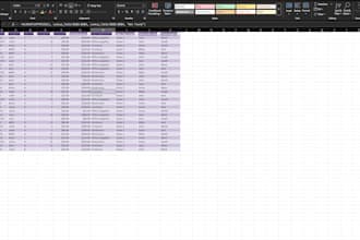 build excel spreadsheets, formulas, and data organization