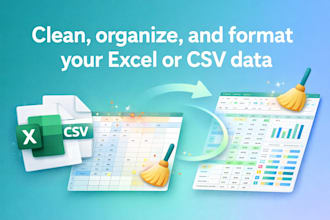 clean, organize, and format your excel or CSV data