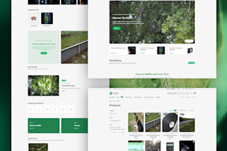 setup shopify store shopify developer shopify store redesign store audit