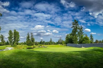 virtual golf leagues, green pro golf simulator, lounge design, hitting mat
