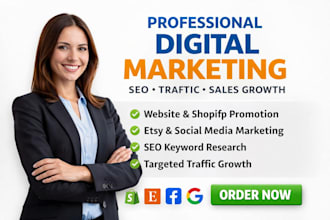 do professional digital marketing SEO and website promotion