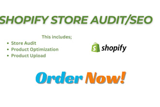 audit your shopify store for traffic and boost shopify sales