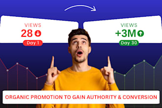 promote USA youtube video promotion to 1 million views with google ad, video seo