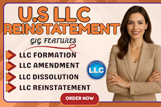 reinstate your US llc, file annual report, amendment or dissolve llc
