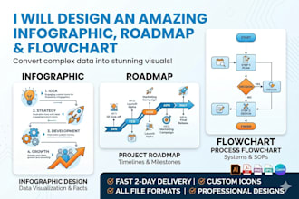 design an amazing infographic, roadmap and flowcharts
