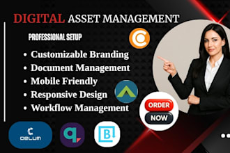 setup outstanding professional digital asset management software dash echo3d