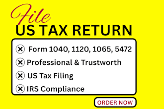 prepare and efile US tax returns 1040, 1040nr, 1040x, 1065, 1120