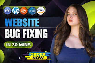 laravel wordpress error bug fix, PHP codeigniter javascript web development yii