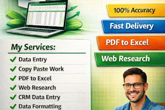 professional excel data entry  data entry services