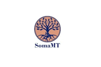 design symbolize rooted tree meditation business logo