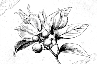 make watercolor botanical food art for packaging