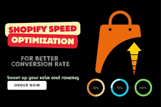 do shopify speed optimization and increase store speed