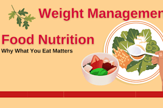 prepare a meal plan