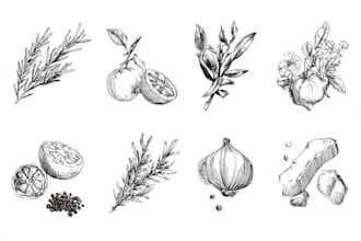 draw elegant botanical food art for restaurants