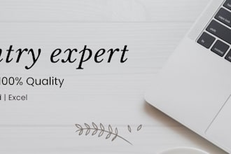 do data entry, copy paste and PDF to excel or word