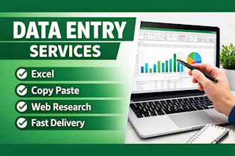 do accurate data entry, copy paste tasks and  excel tasks