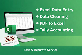 excel data entry and tally accounting