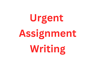 help in writing assignments and projects of english