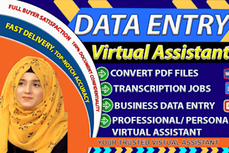 do accurate data entry, file conversion job