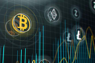 help expert guidance for profitable bitcoin trading