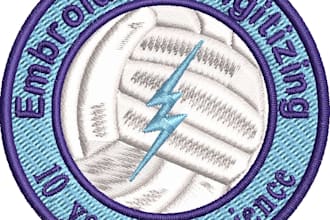 digitize your logo for 10 years embroidery professionally