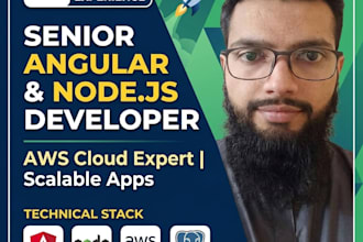 develop or fix angular web application professionally