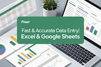 accurate data entry and excel work for you