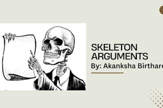 draft professional skeleton arguments for court submissions