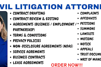 draft writ of mandamus petition, immigration lawyer