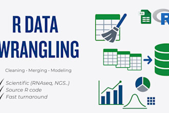 perform professional data cleaning, wrangling, and statistical analysis i