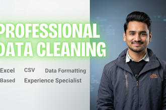 do excel data cleaning, formatting and deduplication
