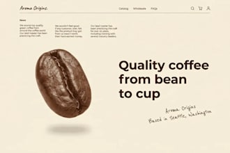 develop a woocommerce website store for you