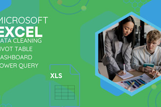 provide excel data cleaning, pivot tables, dashboard reports
