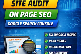 do website audit and technical seo and