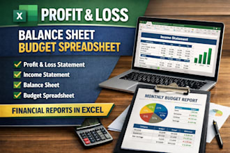 create pl, income statement, balance sheet and budget spreadsheet in excel